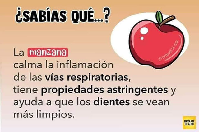 Sin Nombre