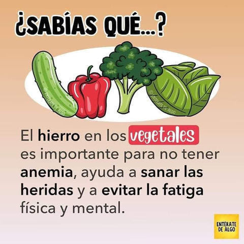 Sin Nombre