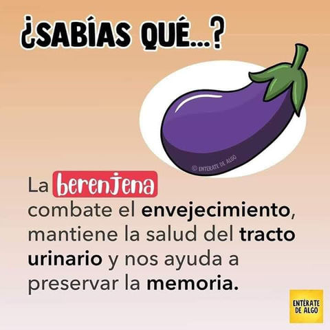 Sin Nombre
